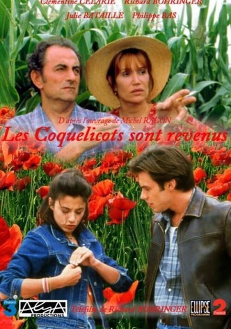 Les coquelicots sont revenus