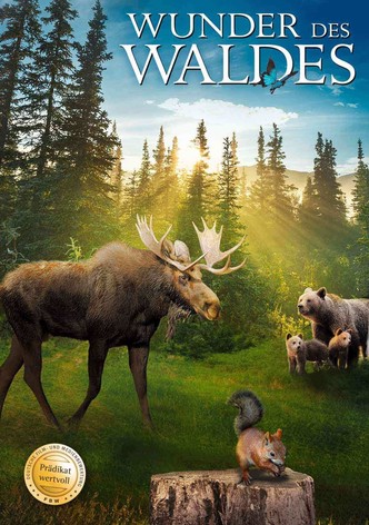 Wunder des Waldes 3D: Tales of a Forest