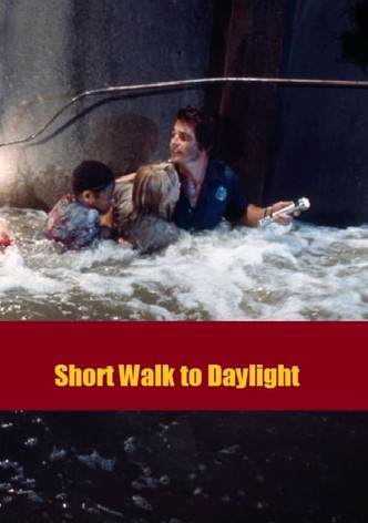 Short Walk to Daylight
