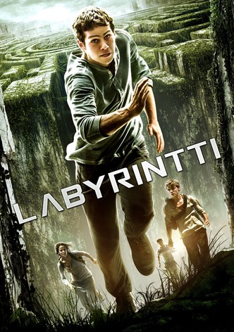 Labyrintti