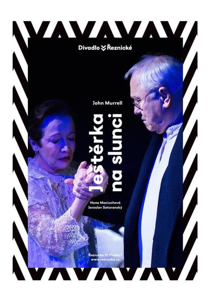 Ještěrka na slunci