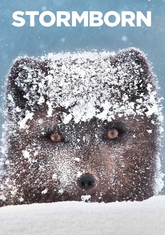 Nacidos de la tormenta