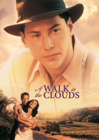 Procházka v oblacích