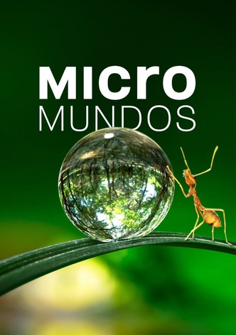 Micromundos