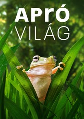 Apró világ