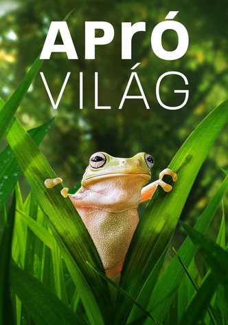 Apró világ