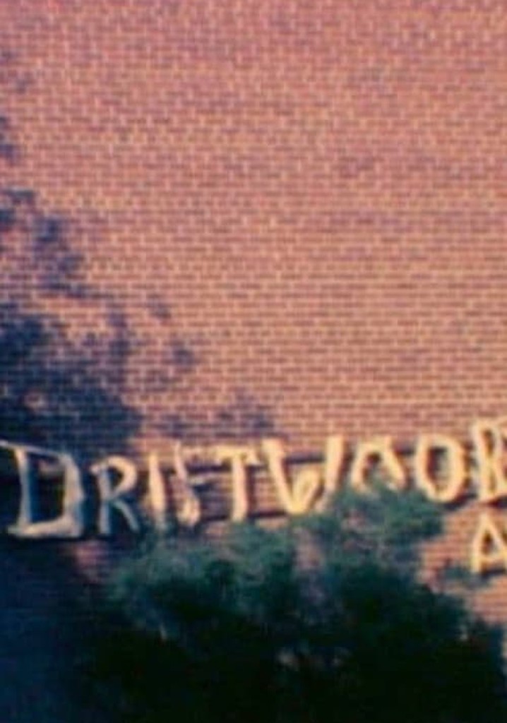 I Dream of Driftwood