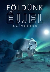 Földünk éjjel színesben