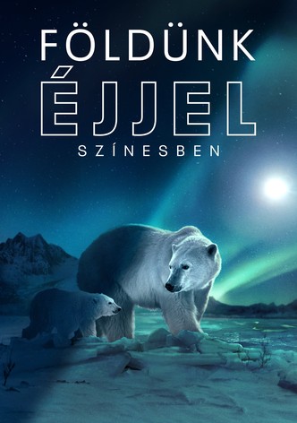 Földünk éjjel színesben