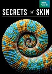 Secrets of Skin