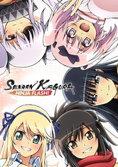 Senran Kagura: Ninja Flash