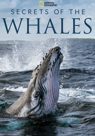 Secrets of the Whales