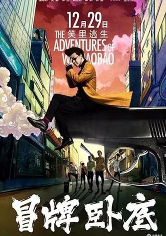 The Adventures of Wei BaoBao