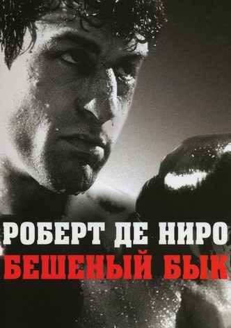 Бешеный бык