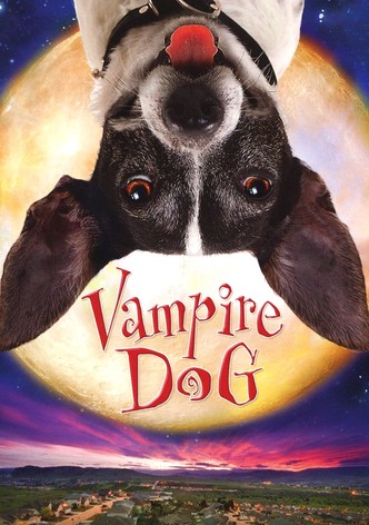 Vampire Dog