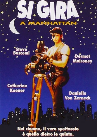 Si gira a Manhattan