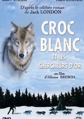 Croc Blanc et les chercheurs d'or