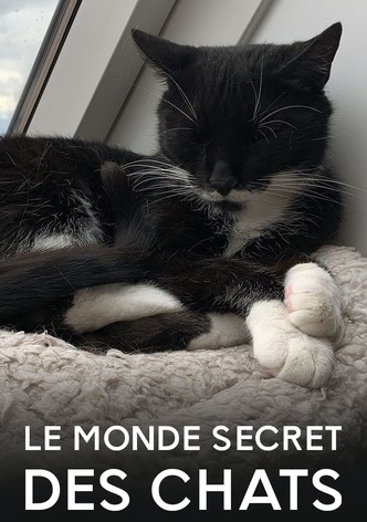 Le Monde secret des chats