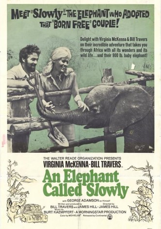 An Elephant Called Slowly