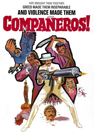 Compañeros
