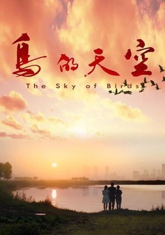 The Sky of Birds