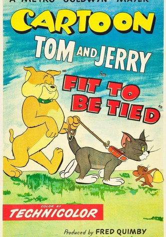 Fit to Be Tied