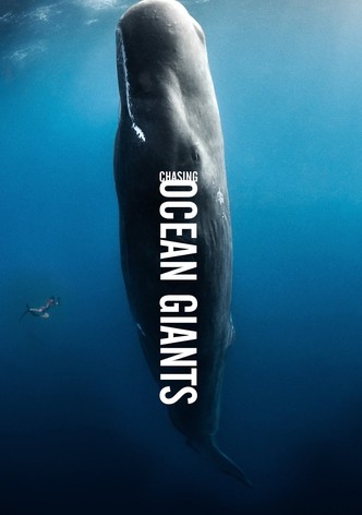 Chasing Ocean Giants