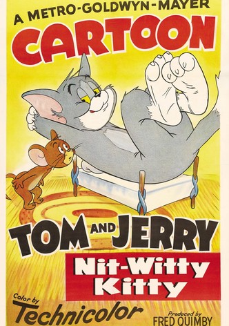 Nit-Witty Kitty