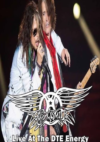 Aerosmith Live In Detroit Proshot