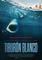 Tiburón blanco