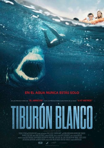 Tiburón blanco