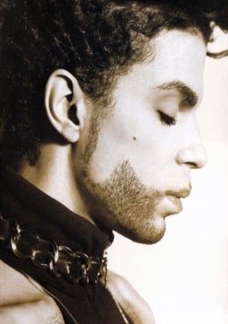 Prince: The Music Video Collection