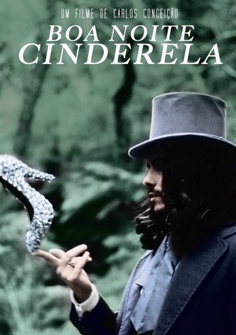 Goodnight Cinderella