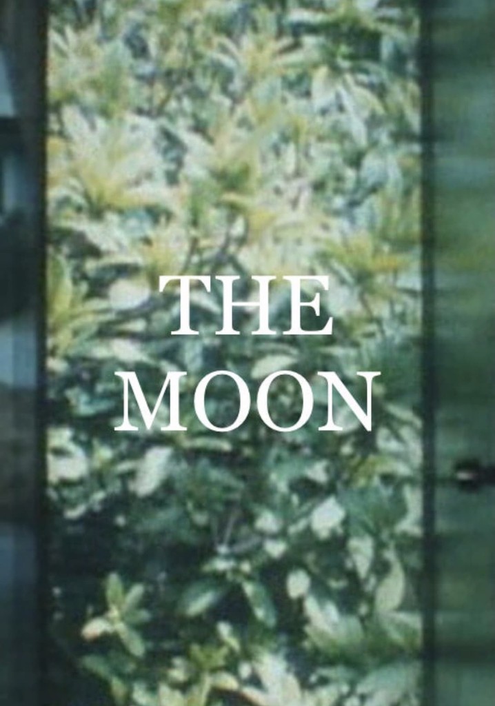 The Moon