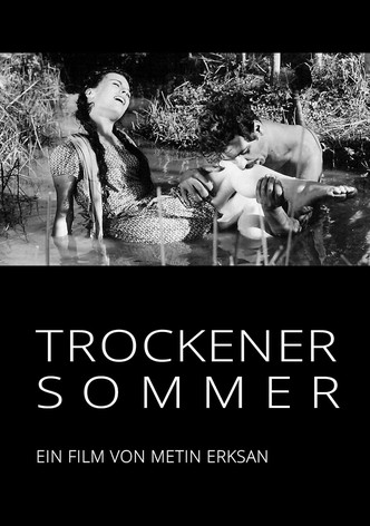 Trockener Sommer