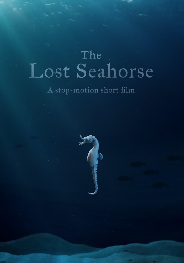 The Lost Seahorse