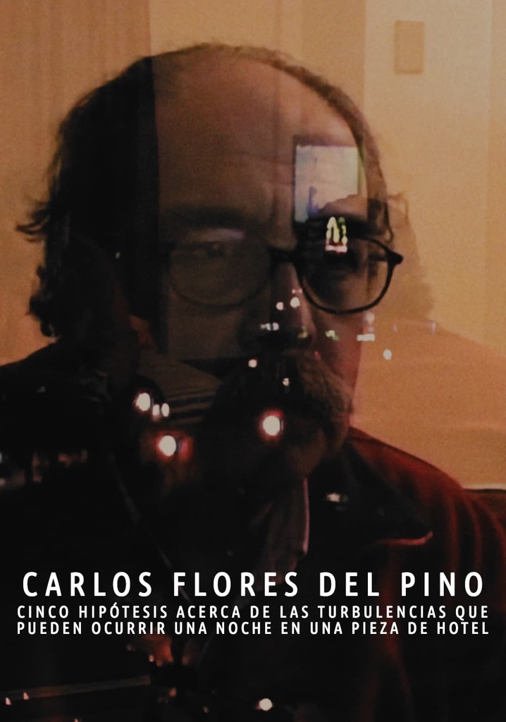 Cinco hipótesis acerca de las turbulencias que pueden ocurrir una noche en una pieza de hotel