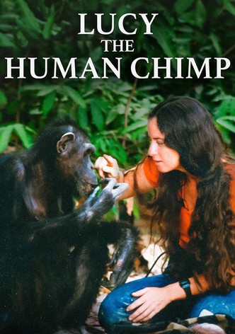 Lucy the Human Chimp