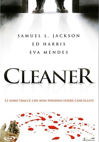 Cleaner