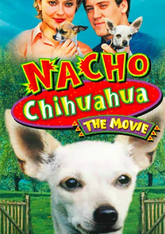 Nacho Chihuahua