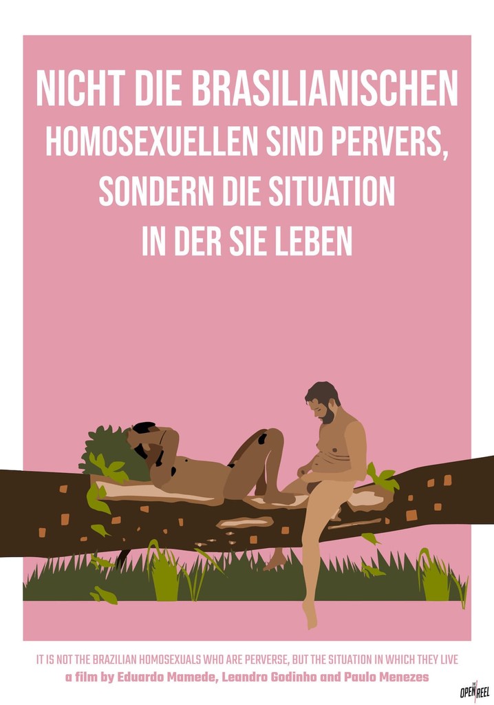 It Is Not the Brazilian Homosexuals Who Are Perverse, But the Situation in Which They Live