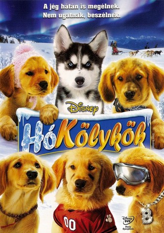 Hókölykök