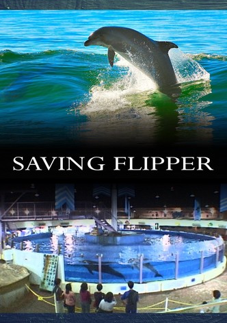 Saving Flipper