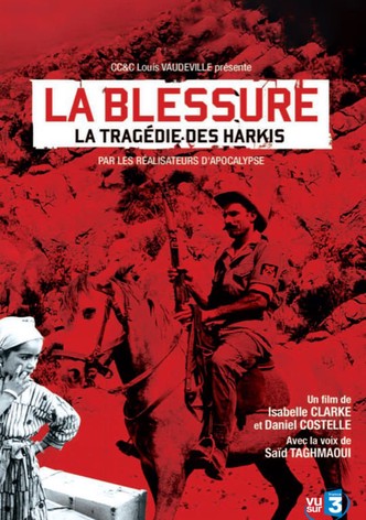 La blessure: la tragédie des Harkis