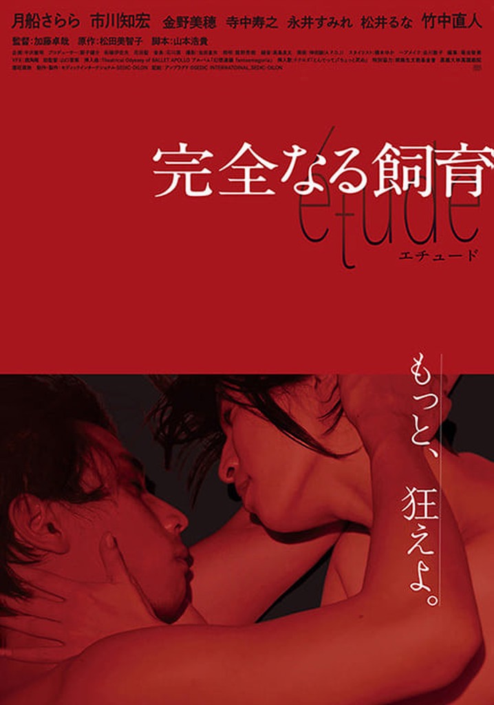 Perfect Education: étude