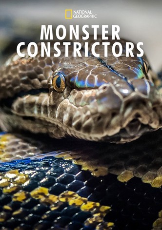 Monster Constrictors