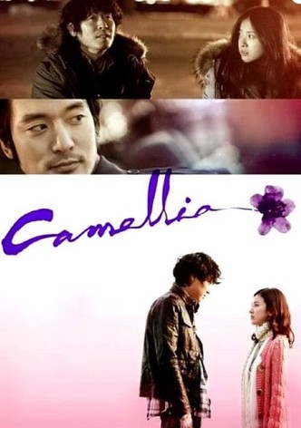 Camellia