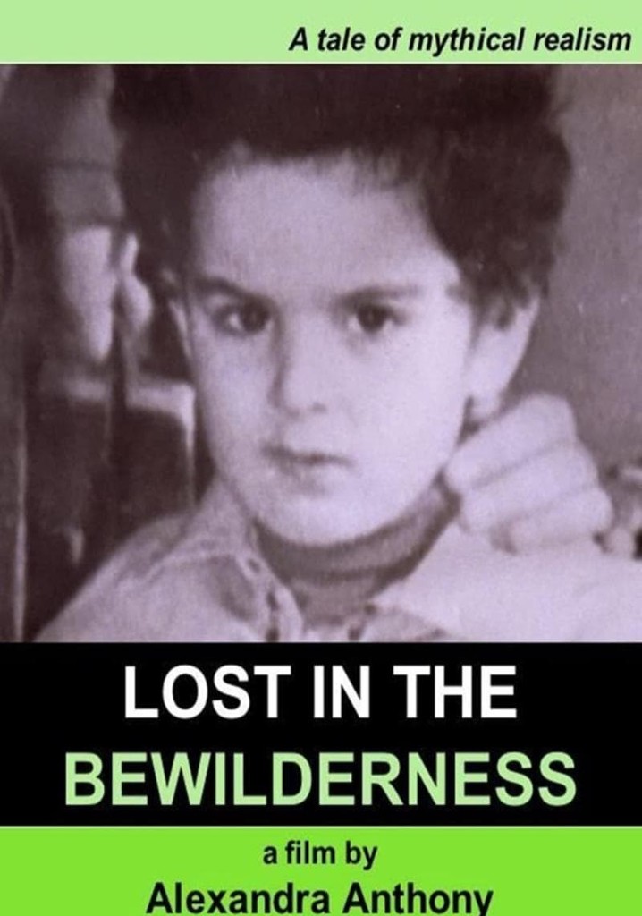 Lost in the Bewilderness