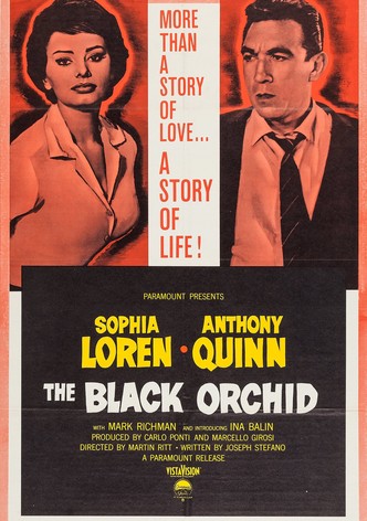 The Black Orchid