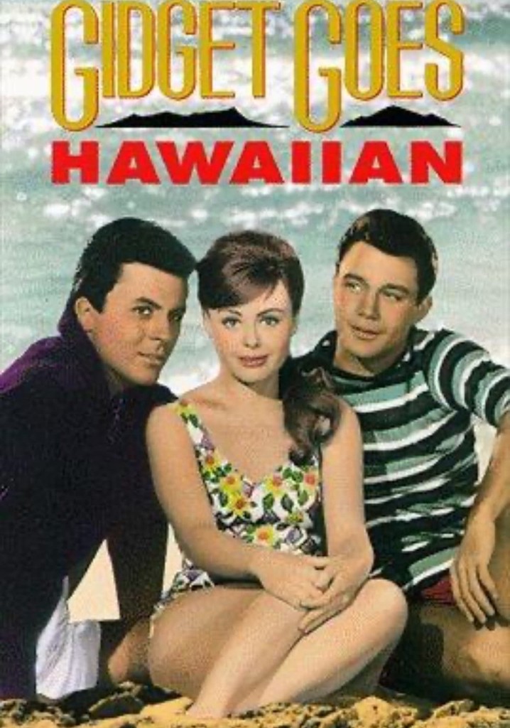 Where Can I Watch Gidget For Free Gidget Goes Hawaiian streaming: where to watch online?